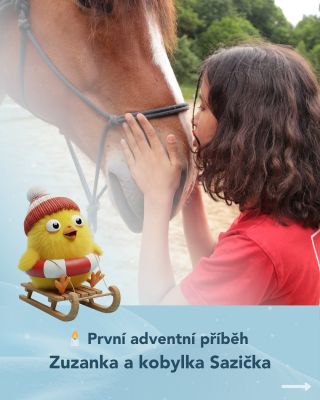 🕯️Příběh Zuzanky a kobylky Sazičky je jedním z mnoha malých zázraků, které se díky vám dějí po celý rok. 🐴 Hipoterapie...